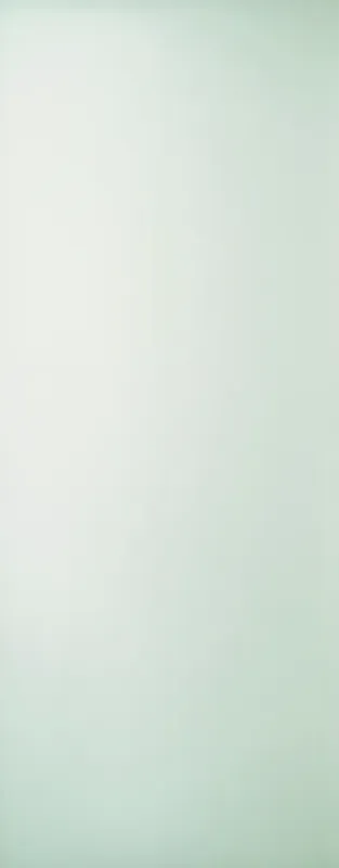 Porte prépeinte Plane - chant droit - âme pleine confort - 2040 x 930 mm - avec mortaise Commander Vite