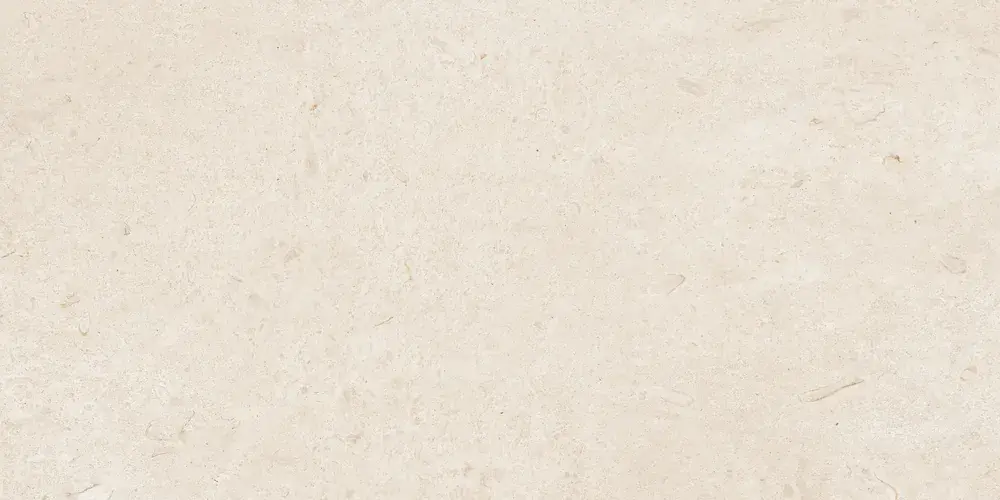 Carrelage intérieur Caracter - blanco - 60 x 120 cm Nouvel Arrivage