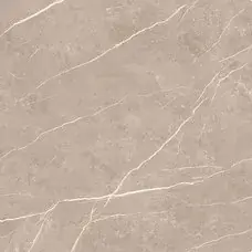 Carrelage intérieur Elite - greige - 120 x 120 cm - rectifié - poli Top Vente