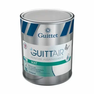 Guittet Guitt‘Air Mat peinture assainissante murs et plafonds - 1L, 3L Acheter Direct
