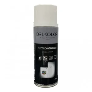 Acheter En Ligne Delkolor Peinture spéciale électroménager en aérosol 400 ml