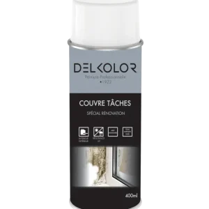 Delkolor Peinture couvre-taches rénovation en aérosol 400 ml Nouvelle Collection