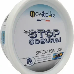 Stop Odeurs spécial peinture 250g Fraîcheur marine Acheter Direct