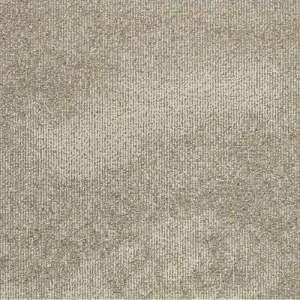 Remise Balsan Dalles de Moquette Plombantes et Amovibles Borneo 710 - 50x50cm - 5m²