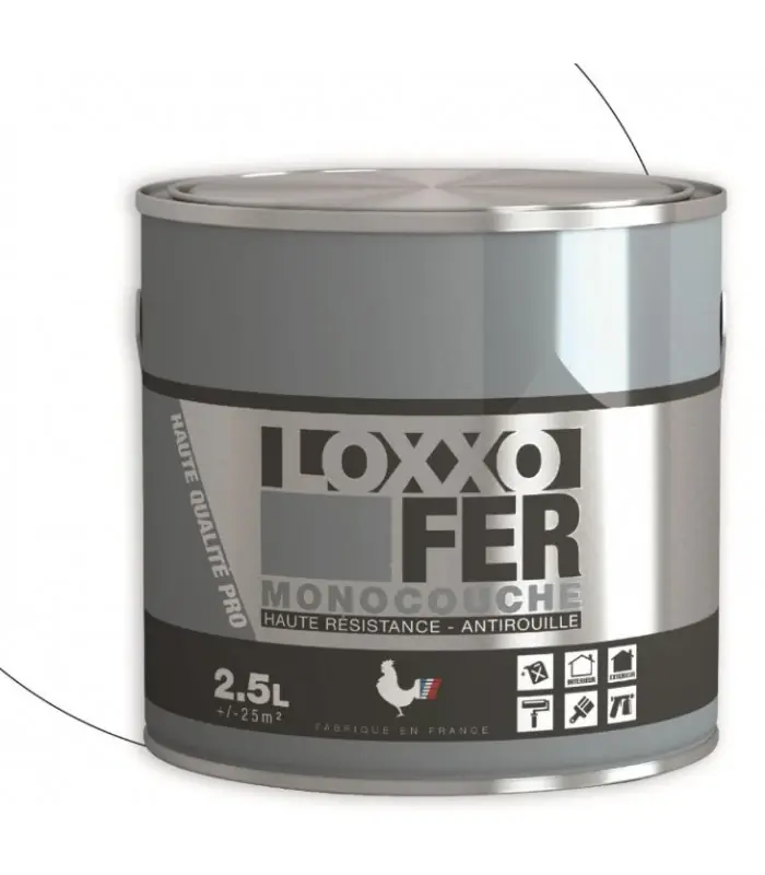 Loxxo Peinture Fer Antirouille - Monocouche - Haute Résistance - Intérieur & Extérieur - 0,5L, 2,5L Offre Du Jour
