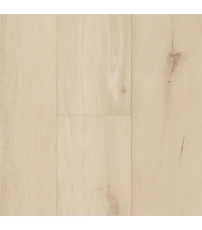 Satisfait Ou Remboursé Parquet stratifié Ocean+ Lame XL Gyant Light Sand 1123 - 12 mm