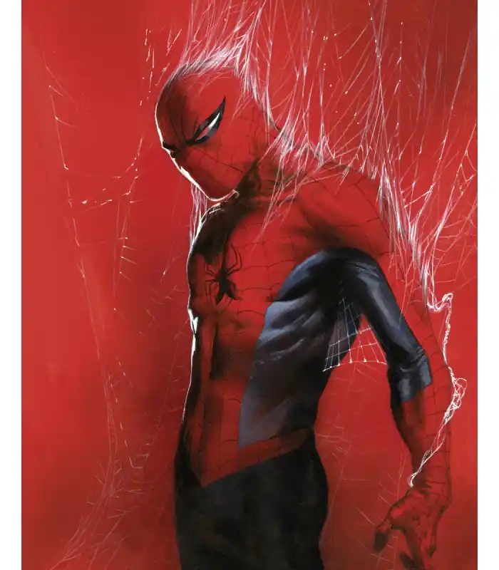 Retour Gratuit MARVEL SPIDER-MAN THROUGH THE SPIDER WEB 40X50