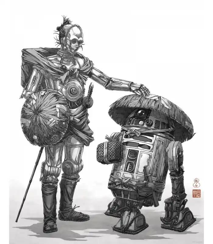 Prix Promo STAR WARS VISION SAMURAI DROIDS 40X50