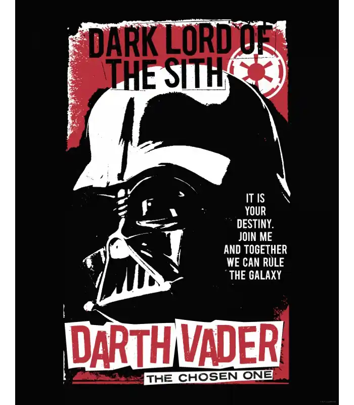 STAR WARS DARTH VADER THE CHOSEN ONE 40X50 Quantité Limitée