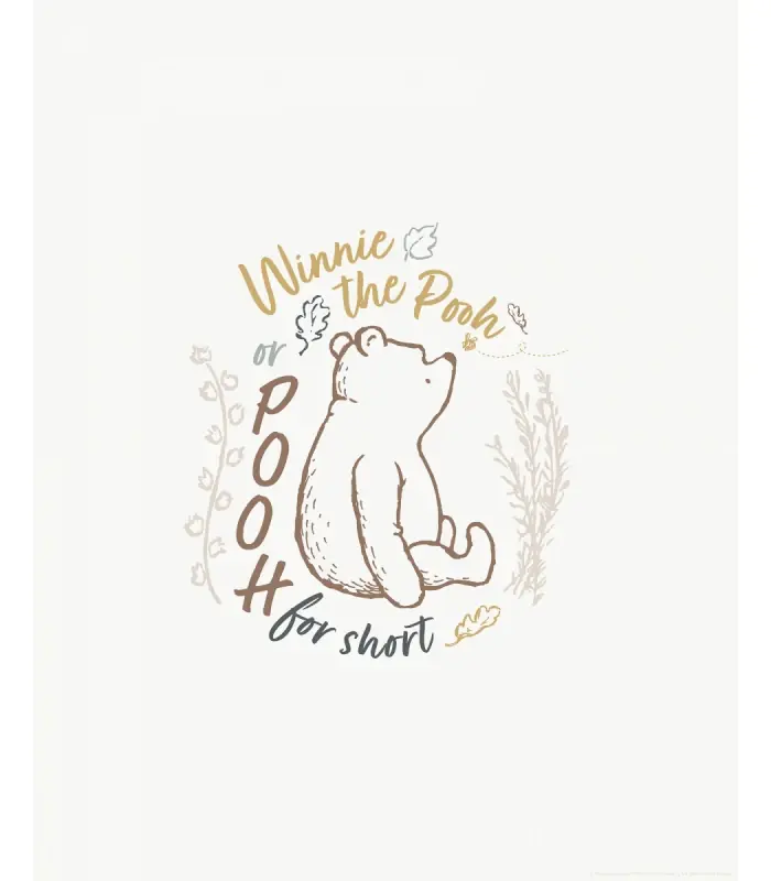 Quantité Limitée DISNEY WINNIE THE POOH FOR SHORT 50X70