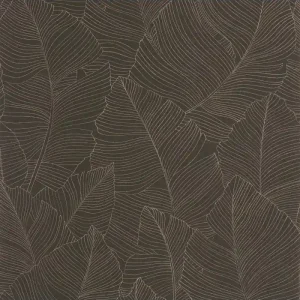 Achetez Aujourd'hui PP CASE. VEGETALIA NOIR ET B. 10650 VDNT0