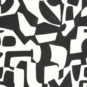 Meilleur Prix PP CASE. BROKEN PATTERN N/B. 10712 VDNT0