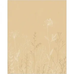PANO, CASE. FIELD LINE LIN 200x250 10722 PANT17 Meilleure Vente
