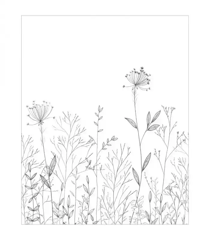 Nouveauté PANO, CASE. FIELD LINE NOIR/BLANC 200x310 10722 PANW6