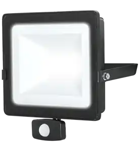 Bon Marché Projecteur LED Noir 2400lm + détecteur 30W 4000K IP65 fin de serie