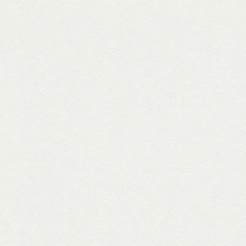 Nouveauté A.S. Creation Meistervlies 6 103819 papier peint intissé uni 0.53 m x 10.05 m blanc