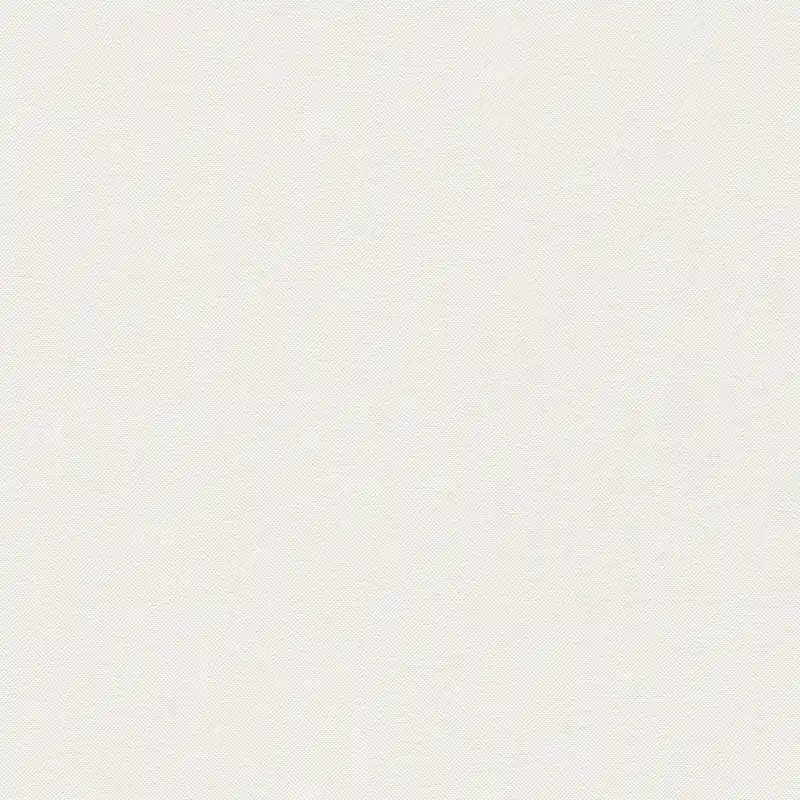 Produit De Marque A.S. Creation Elegance 3 304863 papier peint intissé uni 0.53 m x 10.05 m écru