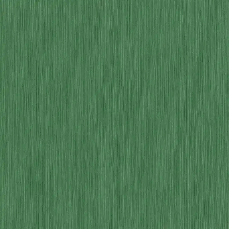 Bon Plan Papier Peint Intissé 537673 vert Uni uni Curiosity Rasch