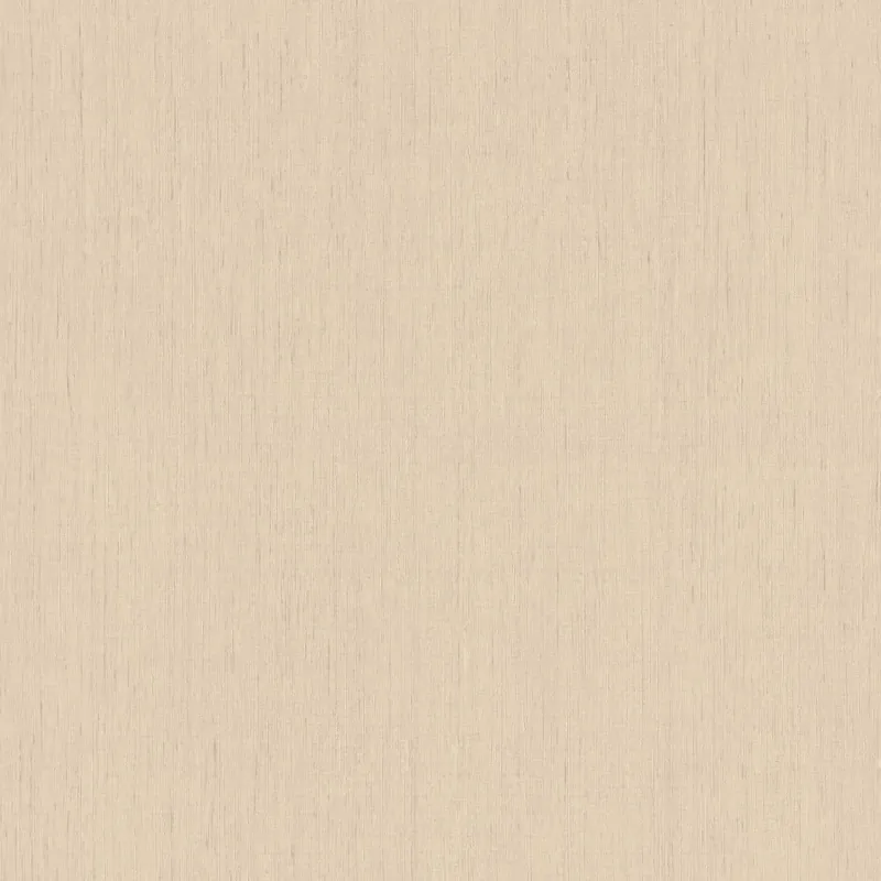 Prix Promo Papier Peint Intissé 746037 beige Uni uni Indian Style Rasch