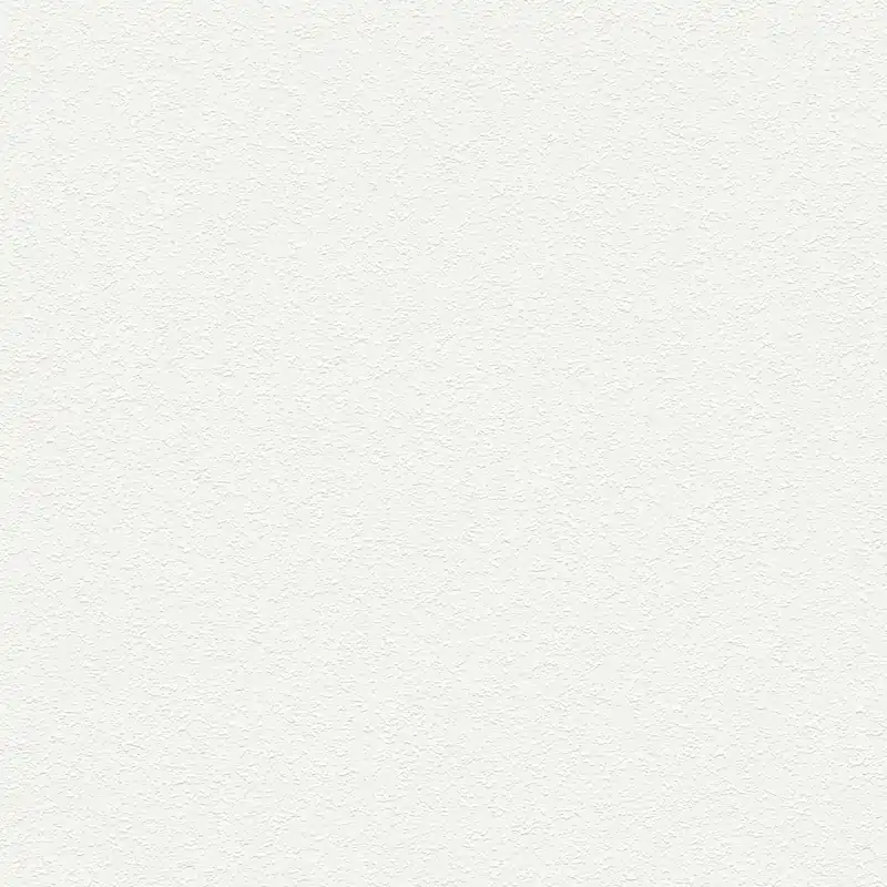 Acheter Direct A.S. Creation Premium Wall 2 389817 Papier Peint Intissé Uni 10.05 x 0.53 m Blanc