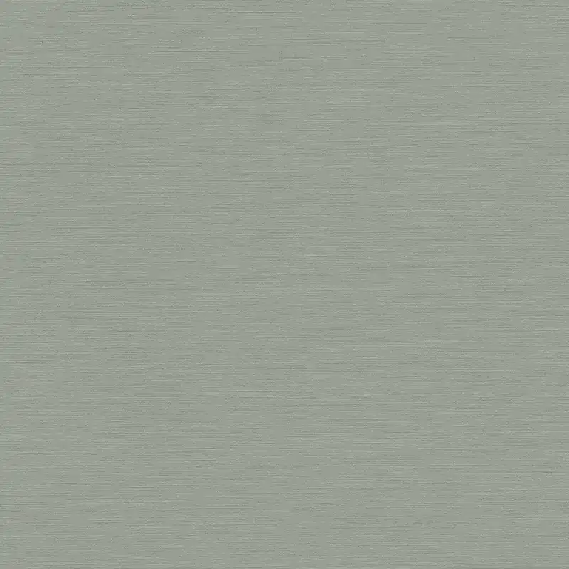 A.S. Creation Antigua 390976 Papier Peint Intissé Uni 10.05 x 0.53 m Vert Usine Directe