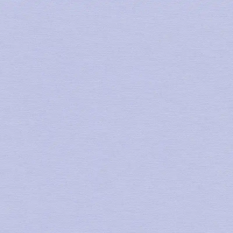 A.S. Creation House of Turnowsky 389035 Papier Peint Intissé Uni 10.05 x 0.53 m Bleu Retour Gratuit