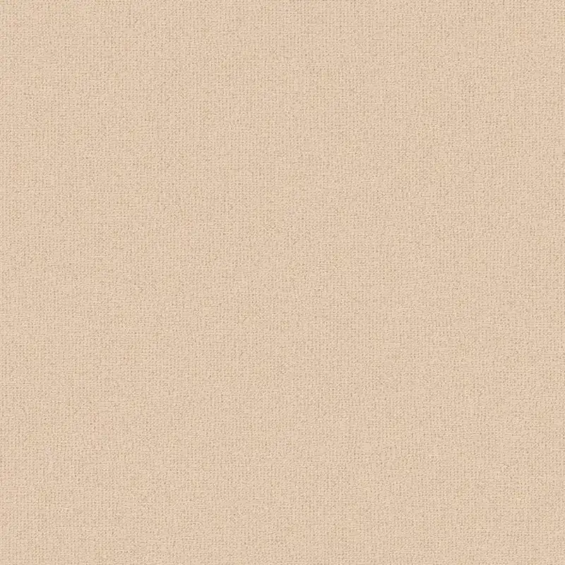 A.S. Creation Attractive 2 390395 Papier Peint Intissé Uni 10.05 x 0.53 m Orange Haute Qualité