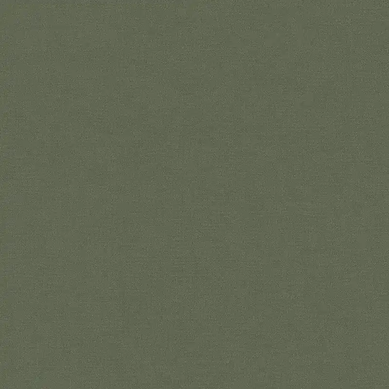 Prix Choc A.S. Creation Travel Styles 392663 Papier peint intissé Uni 10.05 x 0.53 m Vert