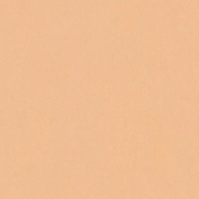 Retour Gratuit A.S. Creation Art of Eden 377021 Papier peint intissé Uni 10.05 x 0.53 m Orange