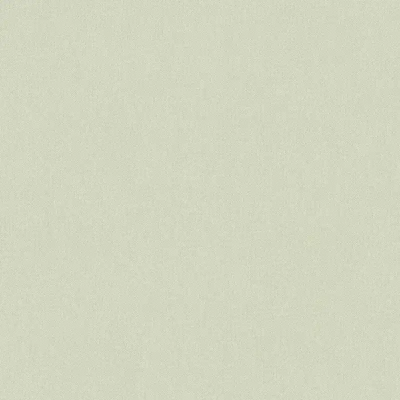A.S. Creation Art of Eden 377033 Papier peint intissé Uni 10.05 x 0.53 m Vert Prix Choc