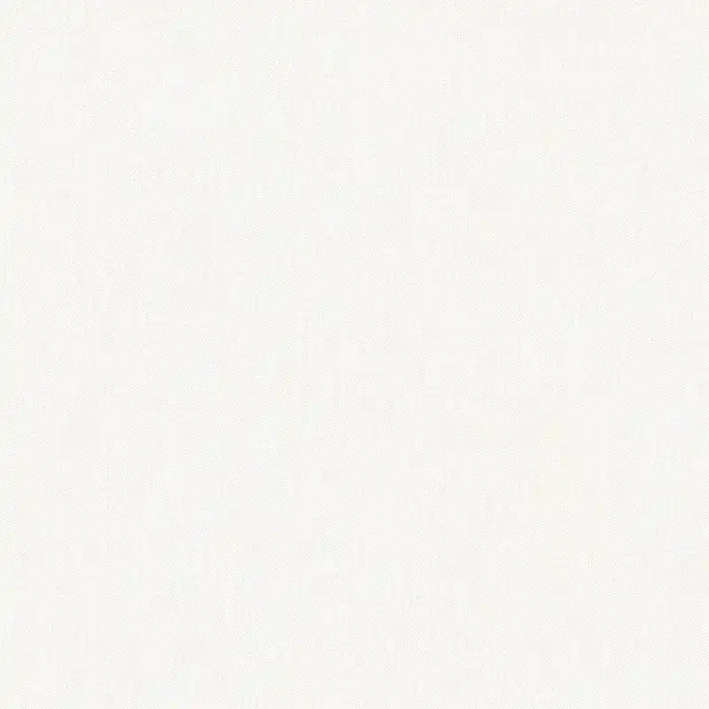 A.S. Creation Art of Eden 377039 Papier peint intissé Uni 10.05 x 0.53 m Blanc Marque