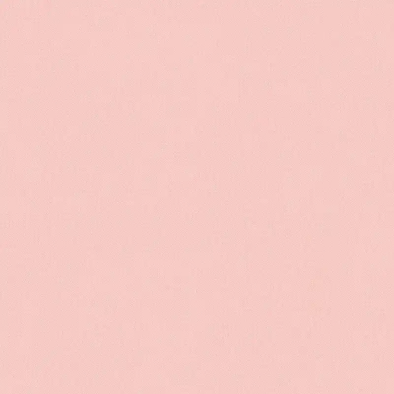 A.S. Creation Art of Eden 377487 Papier peint intissé Uni 10.05 x 0.53 m Rose Solde