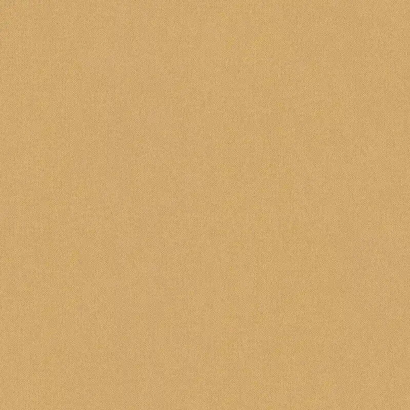 Petit Prix A.S. Creation Art of Eden 377501 Papier peint intissé Uni 10.05 x 0.53 m Orange