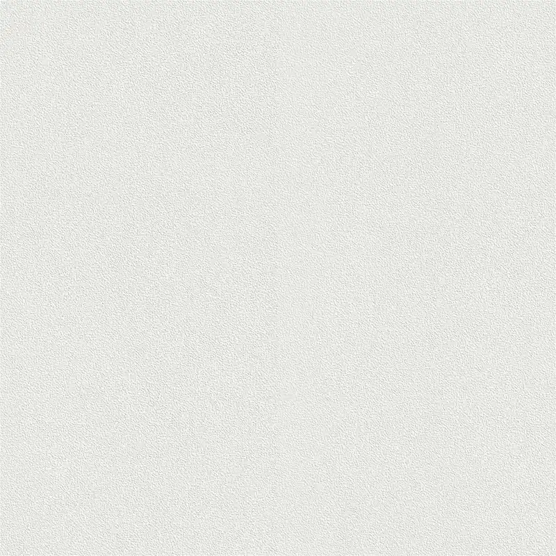 Marque Papier peint intissé 144017 Uni Selection Rasch 1,06 m x 25 m