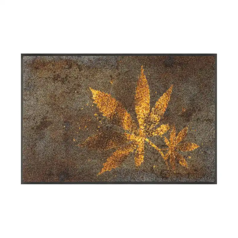 Offre Exclusive Paillasson Jardin d‘herbes aromatiques 75 x 50 cm tapis de sol lavable Floornovo Trend Design