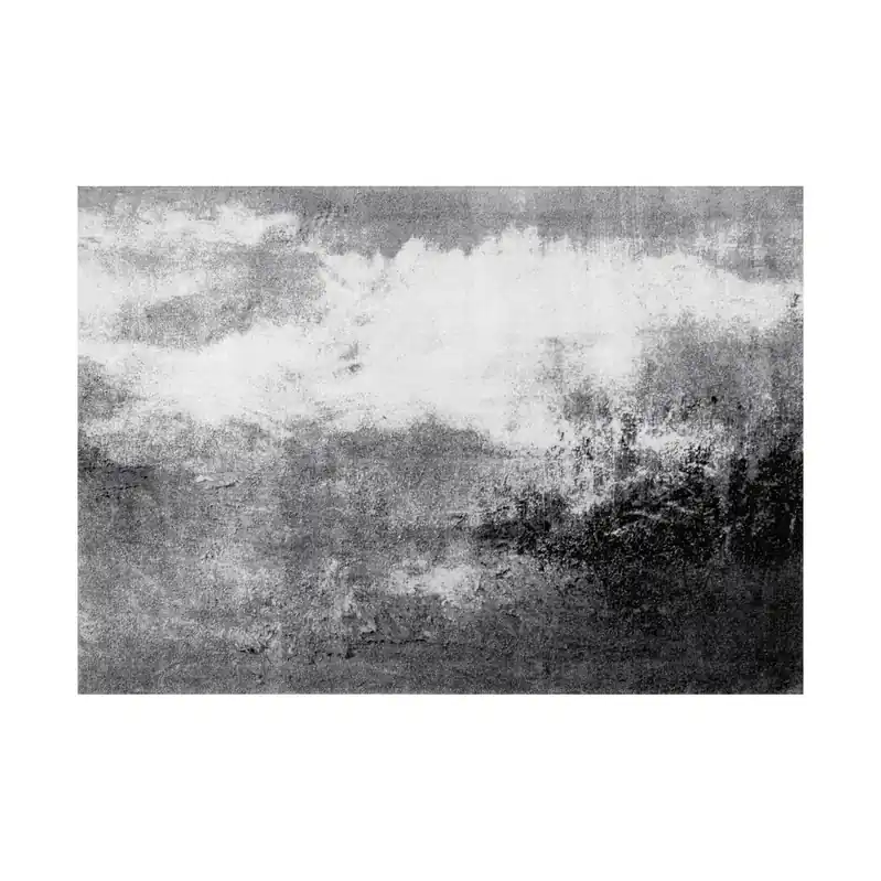 Paillasson Voile de brume tapis de sol lavable Différentes tailles Floornovo Trend Design Nouveauté