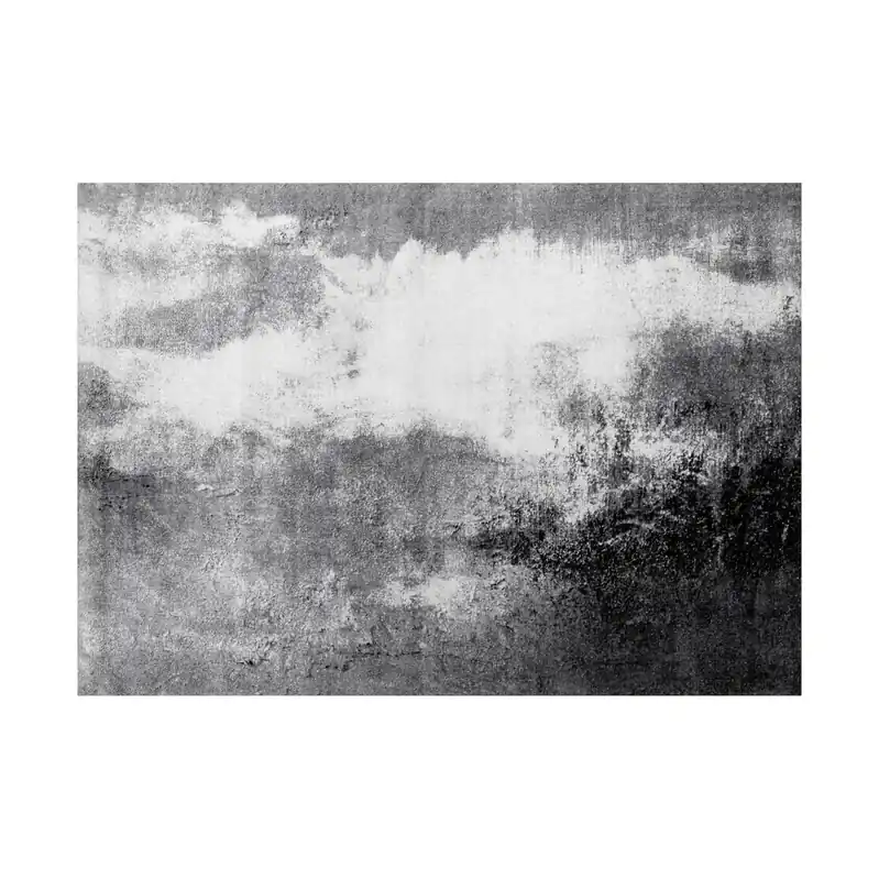 Paillasson Voile de brume tapis de sol lavable Différentes tailles Floornovo Trend Design Achetez Aujourd'hui