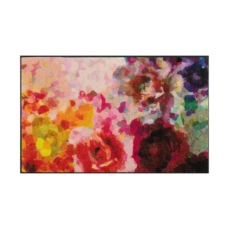 Expédition Rapide Paillasson Feu d‘artifice de couleurs tapis de sol lavable Différentes tailles Floornovo Trend Design