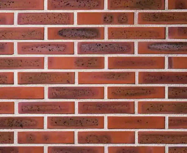 BRIQUE PLEINE 220X105X54 T ROSE TERRE DE ROSE Commander Maintenant