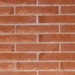 MULOT BRIQUE PLEIN 220X54X54 ROUGE TERRE ROUGE Nouvelle Collection