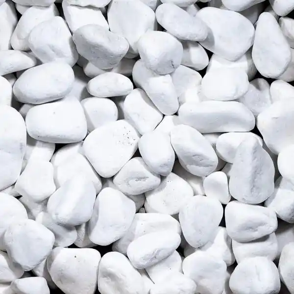 ROCAJARDIN / PIZARRAS GALET BLANC PUR 40/60 20KG Haute Qualité