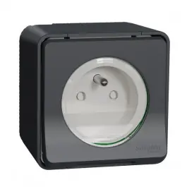 Satisfait Ou Remboursé Prise de Courant Étanche Schneider Electric 2P+T Saillie Gris MUR35031