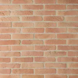 Haute Qualité Brique de parement ton rouge 22x5 ep 1,5 cm paquet de 0,5 M2