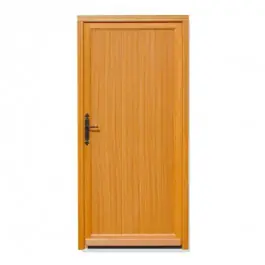 Paiement Sécurisé Porte de service Bois exotique Alex, 200 x 80cm, poussant droit