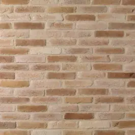Brique de parement ton Havane, paquet de 0,5 m2 Dernière Chance
