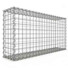 Acheter Direct Gabion Rectangulaire 100x50x20 cm 4 faces fil 4 mm maille 5x5 cm