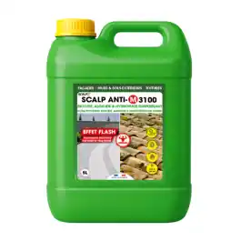 Biocide Algicide Hydrofuge Concentré Scalp Anti-M 3100, Bidon de 5L Prix Cassé