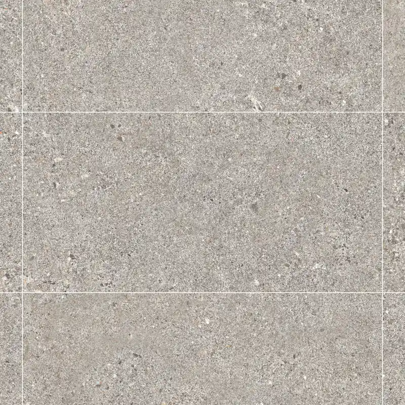 Carrelage effet Béton Gris Cendré 120x60x0,9 cm In&Out Arvelis - Sol et mur intérieur et Sol extérieur Commande En Gros