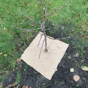 Seulement Aujourd'hui Dalle de Paillage unitaire Thorenap - Feutre aiguilleté en fibres 100% végétales